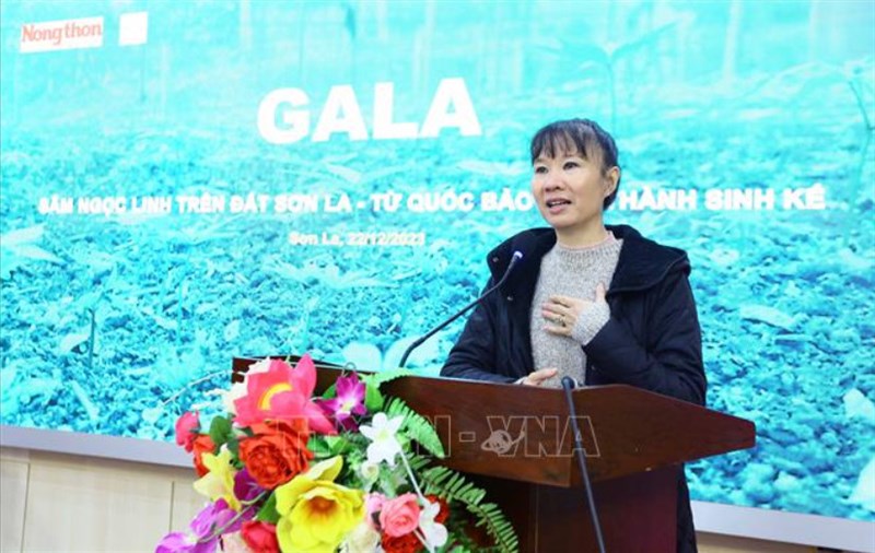Tìm giải pháp thúc đẩy phát triển cây sâm Ngọc Linh tại Sơn La