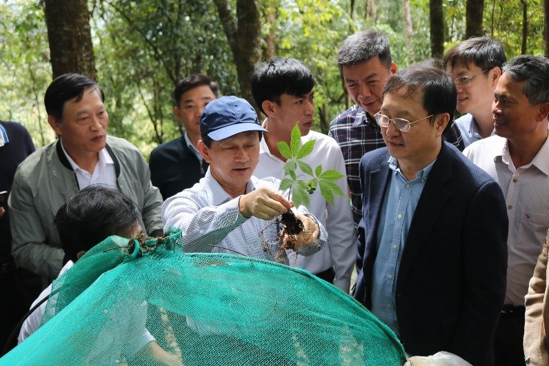  THÔNG TIN KINH TẾ - XÃ HỘI Kết quả triển khai các nhiệm vụ KHCN phát triển sâm Ngọc Linh